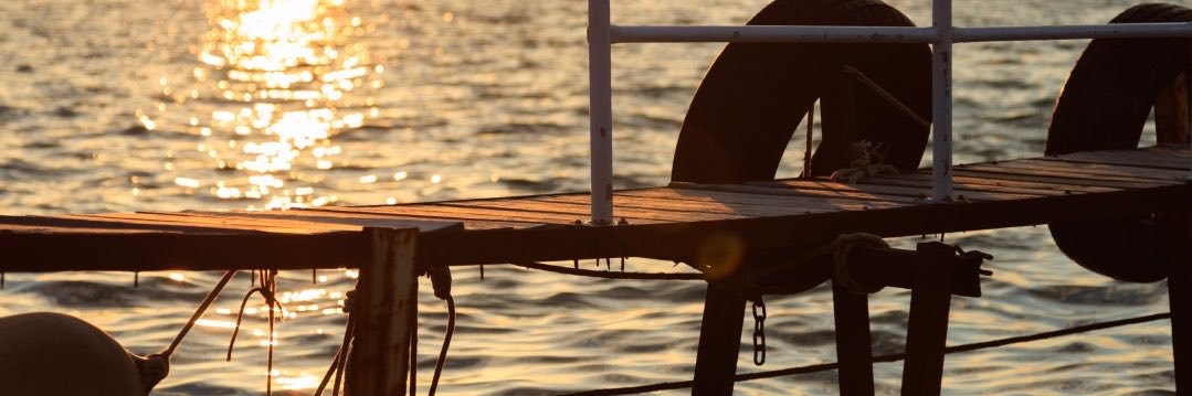 sekande41's profile banner image