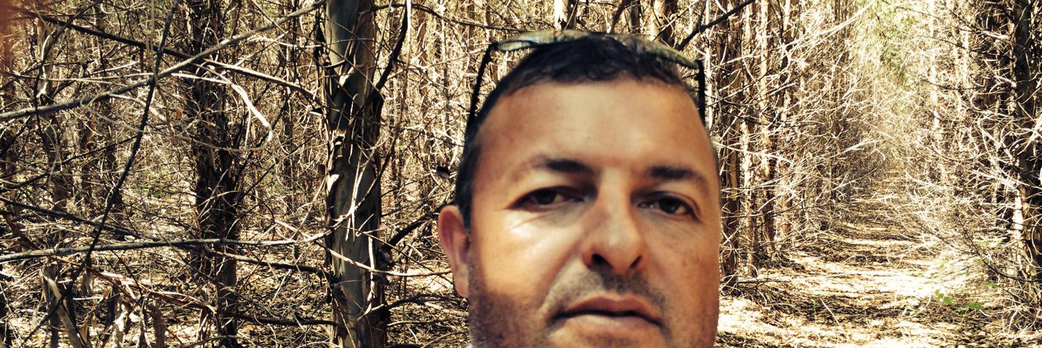 juliosoforest's profile banner image