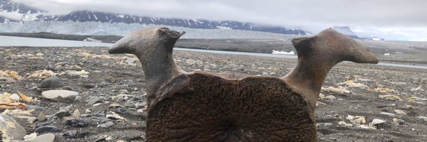 JanBruewer Profile Banner
