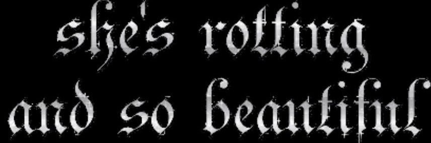 𝕯𝖆𝖓𝖞♡ banner