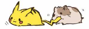 bcskrn's profile banner image