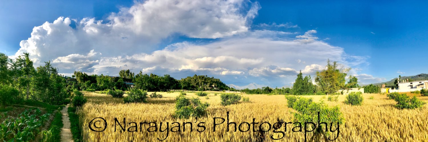 narayanlongani's profile banner image
