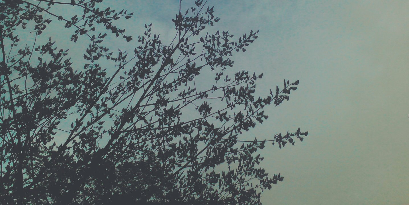 Larjaaa's profile banner image