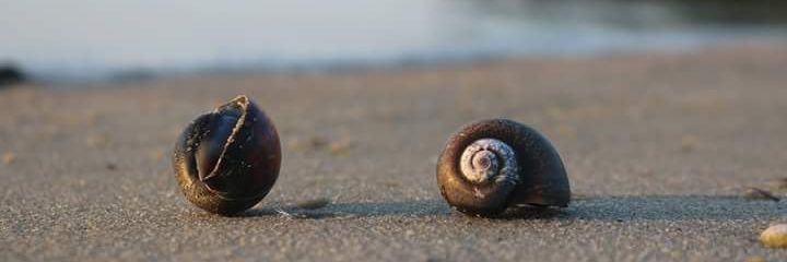 Muhimbise Atiki banner