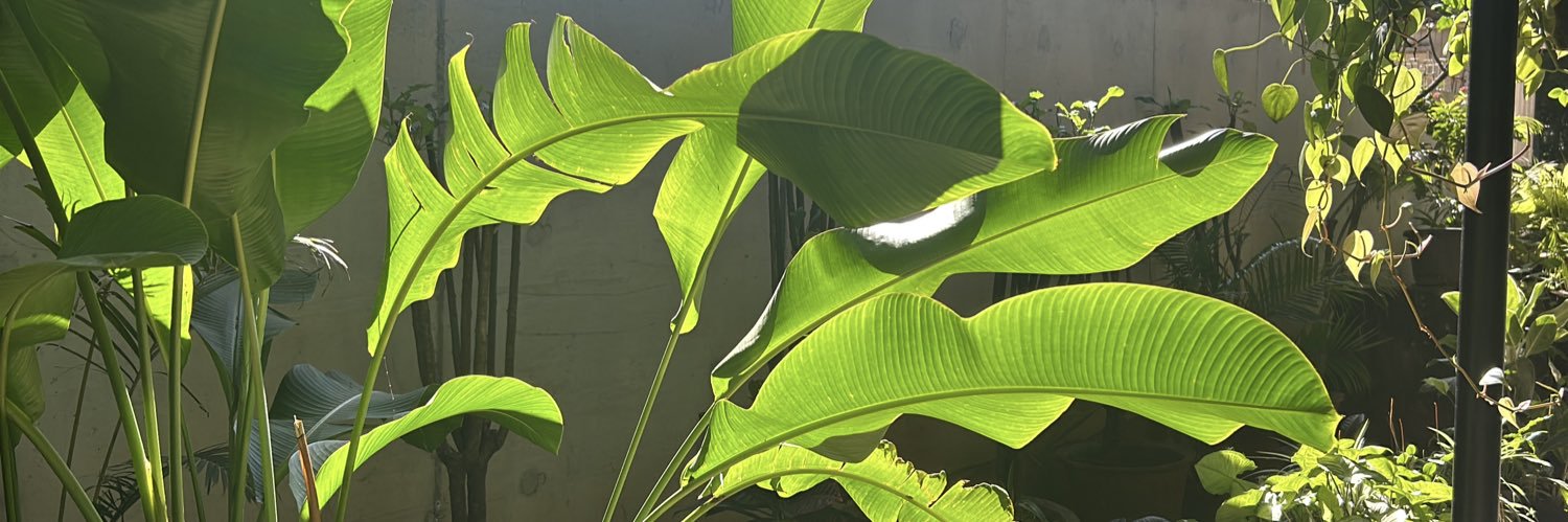 ShruthiSrinath's profile banner image