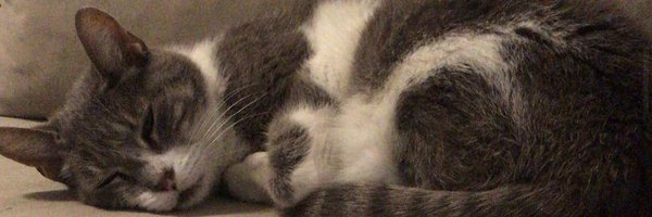 Ludelabarba Profile Banner