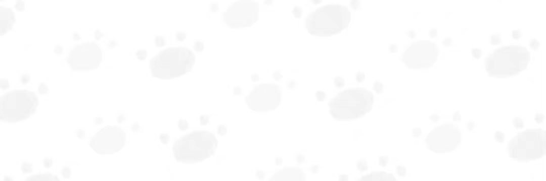 tt1's banner