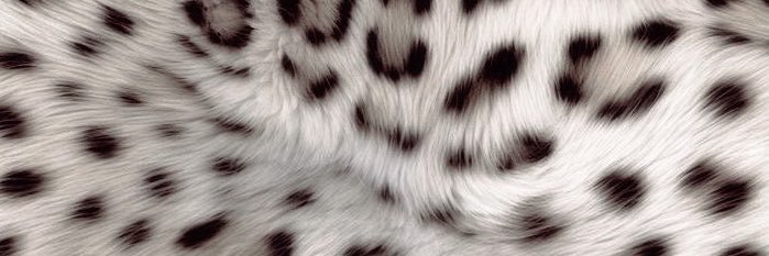 byakugs's profile banner image
