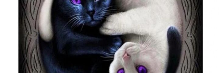 blacketdet_'s profile banner image
