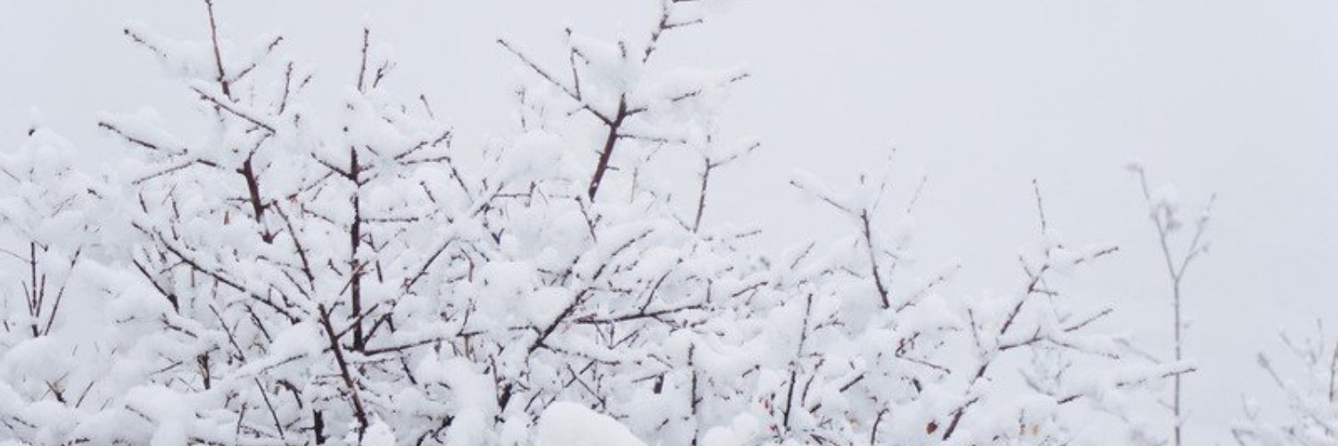 NarcCop93's profile banner image