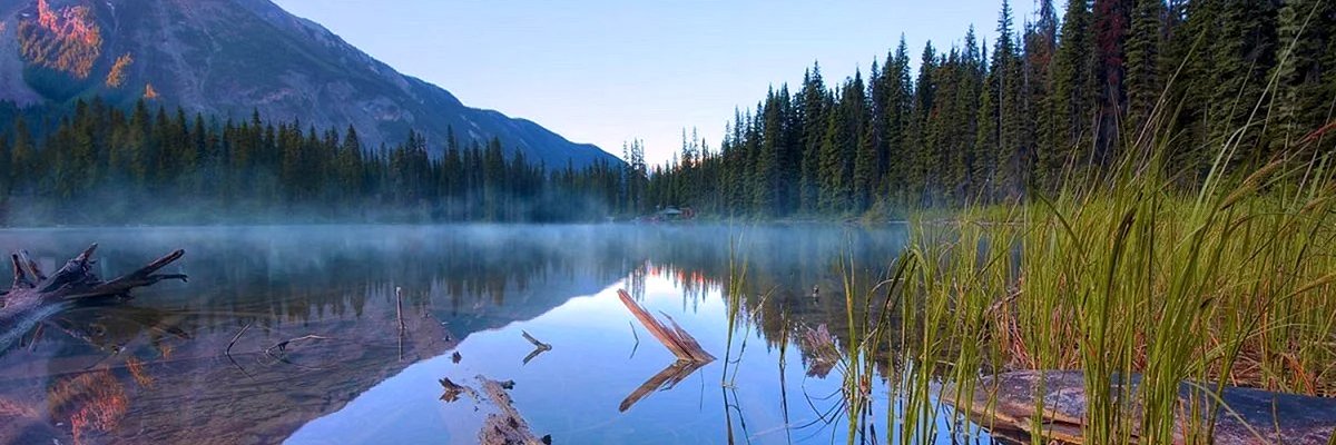 LRodagin's profile banner image