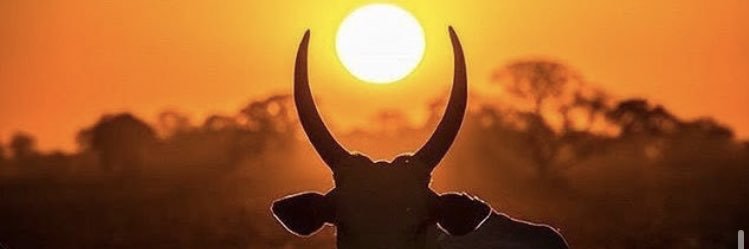 sorryenila's profile banner image