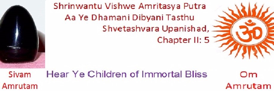 mekanagaraj's profile banner image