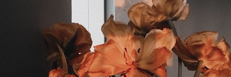 vikydamonte_'s profile banner image