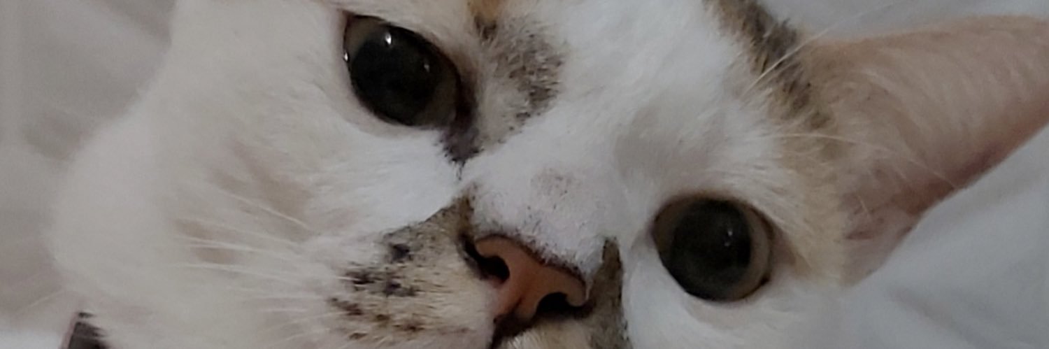 adindaer's profile banner image