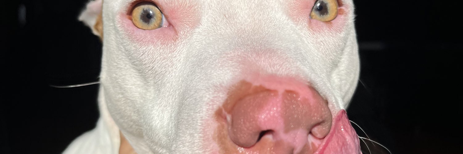 jasminevaiz's profile banner image