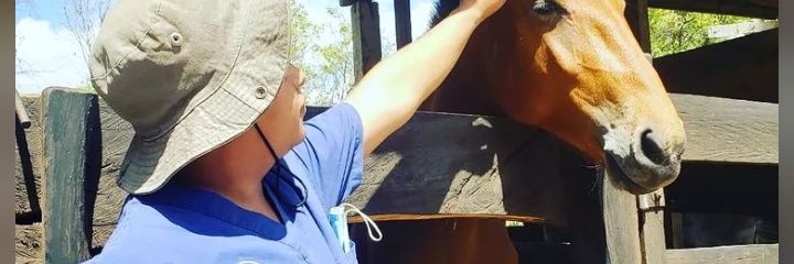 SandArgMario's profile banner image