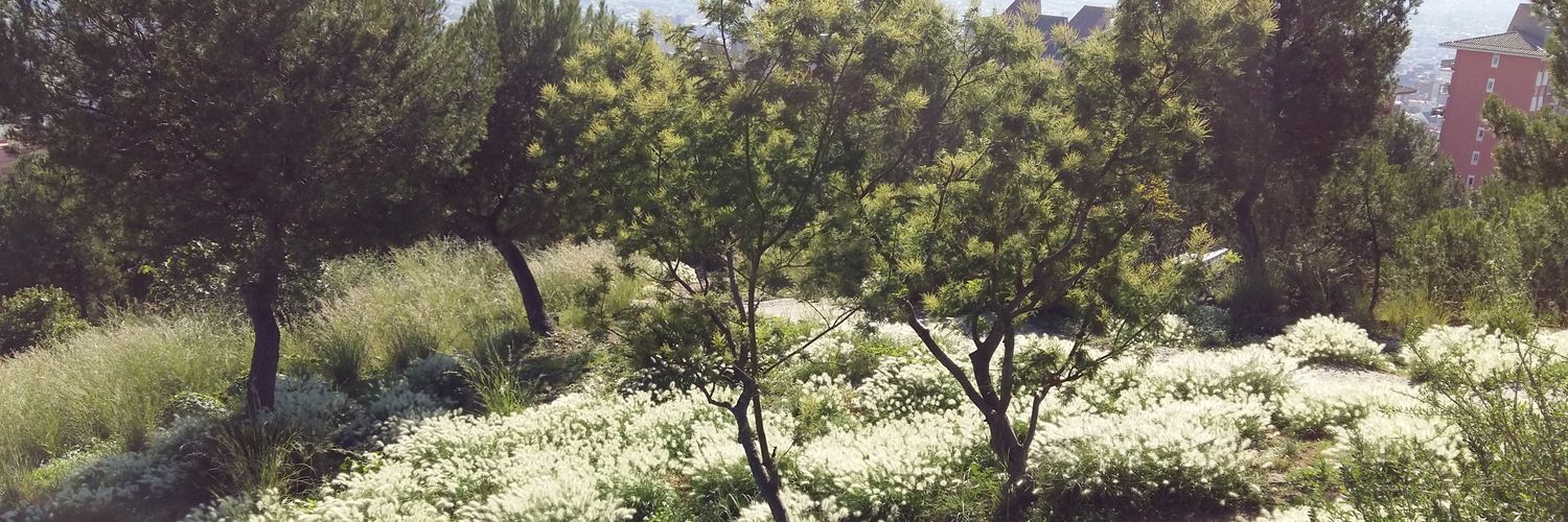 annafeli's profile banner image