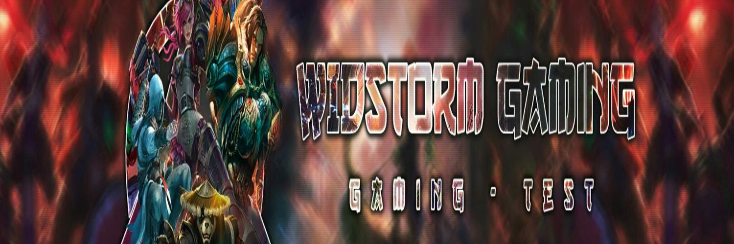widstorm banner