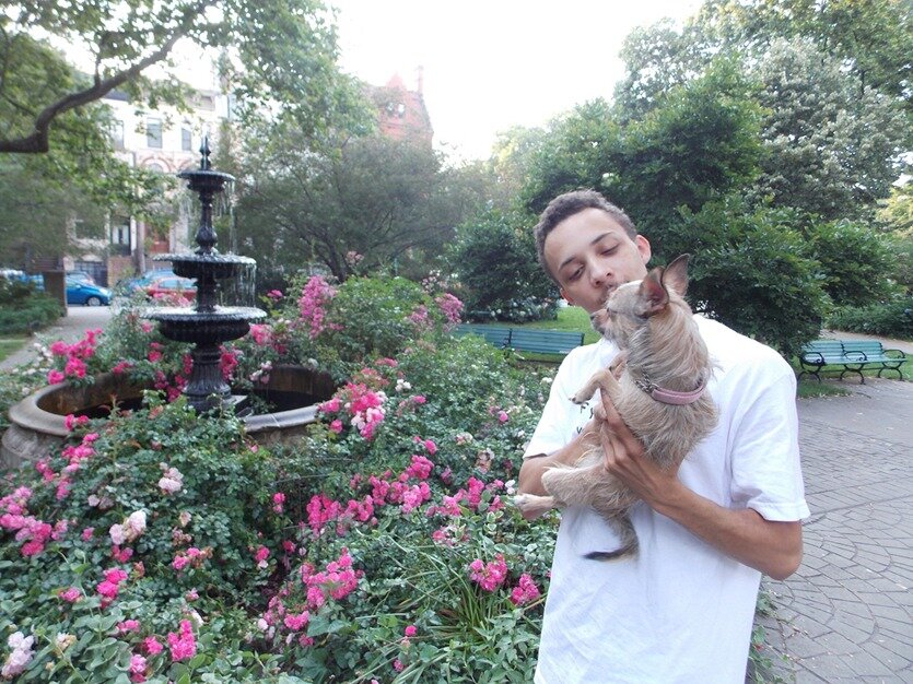 APawsible's profile banner image