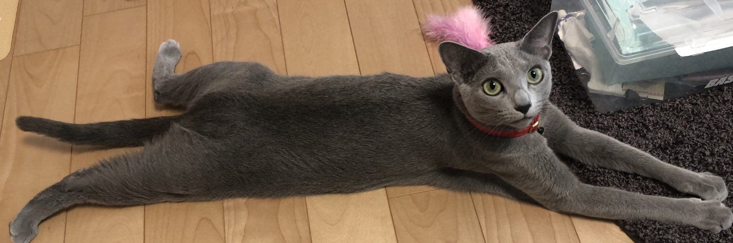 とまにゃんとまと🍅 banner