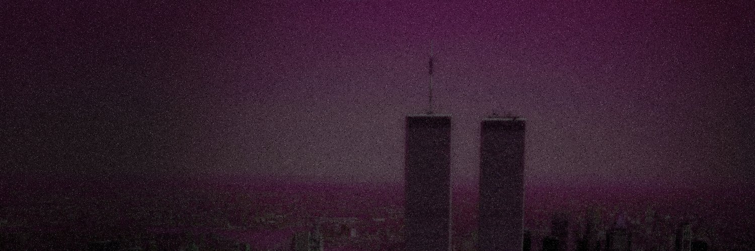 disaffected_zoomer's banner