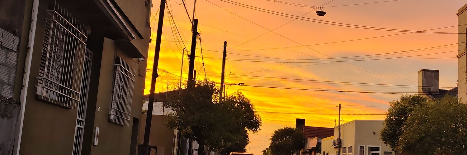 malecassella's profile banner image