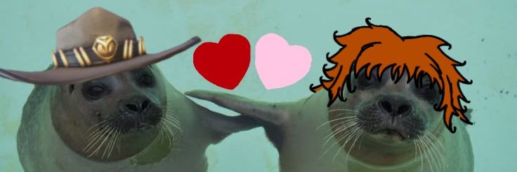 dex 🦭🩷 banner