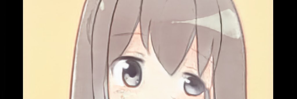 Totemaimootanan banner