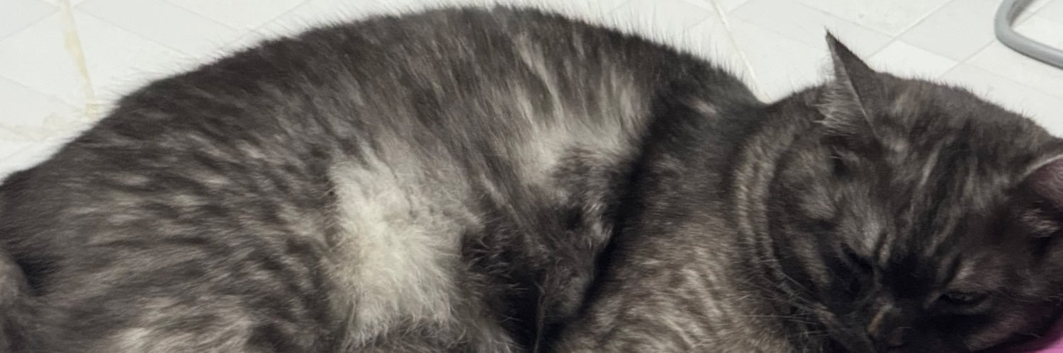 bechanx's profile banner image