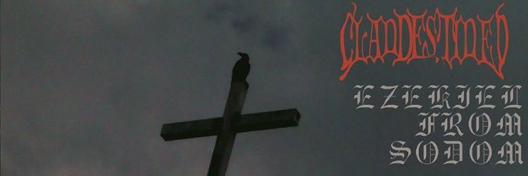 OKAZZY!/VOIDD/CLANDESTINED banner