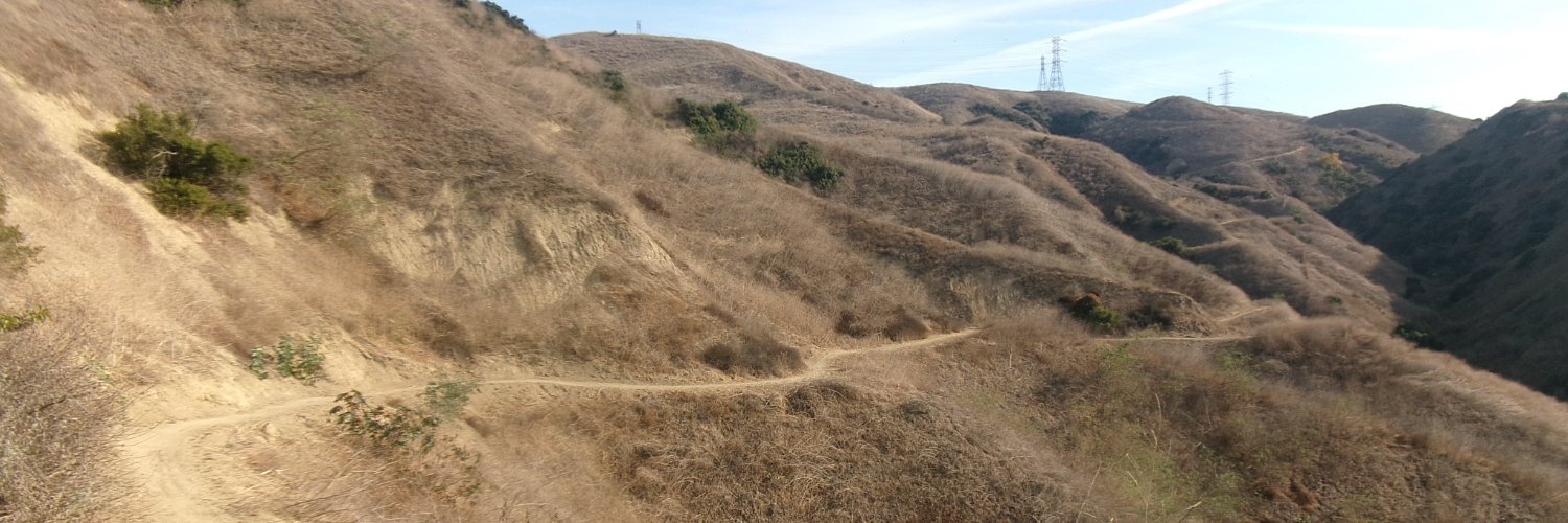 Mike Haley 💾 banner