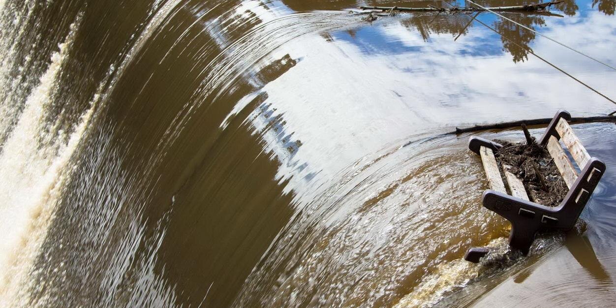 Milica Jovanović banner