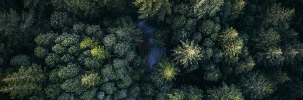 Intrum España banner