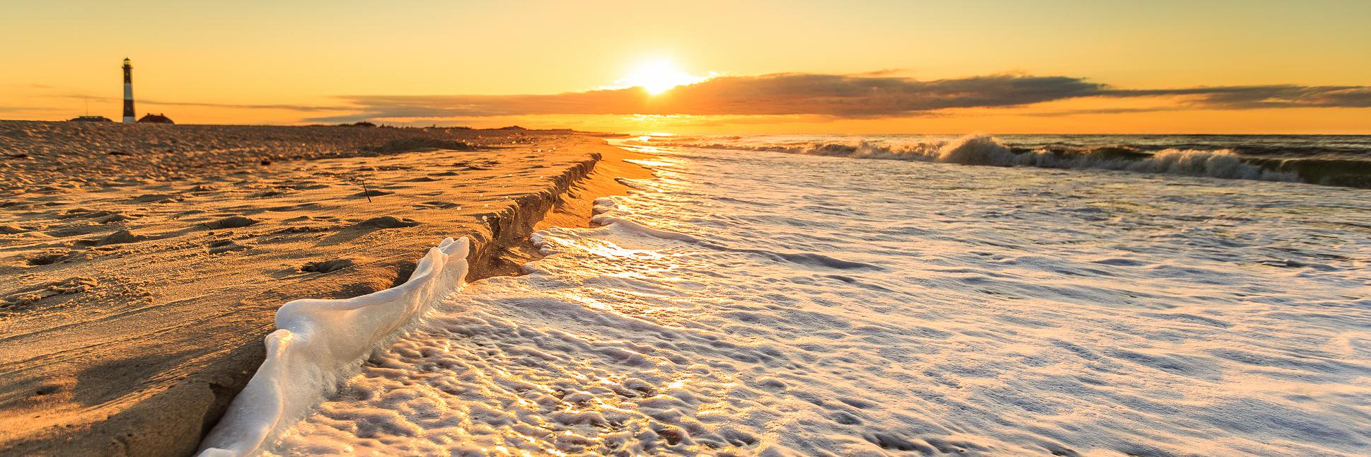 Kristen Reynolds banner