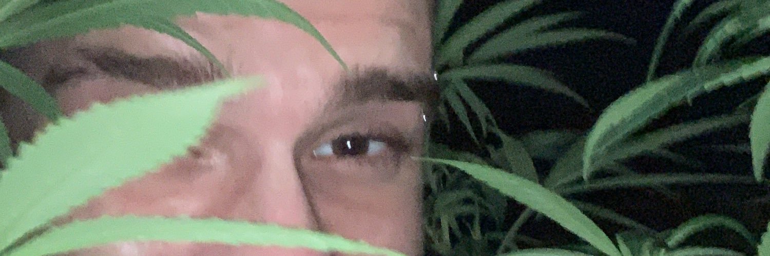 Pedrelsin's profile banner image
