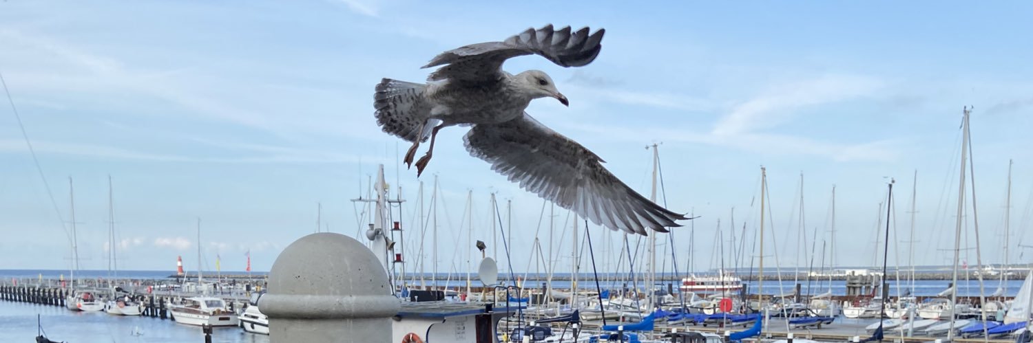 Shahaf Peleg 🌅 banner