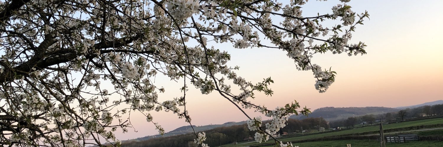 PippoSolene's profile banner image