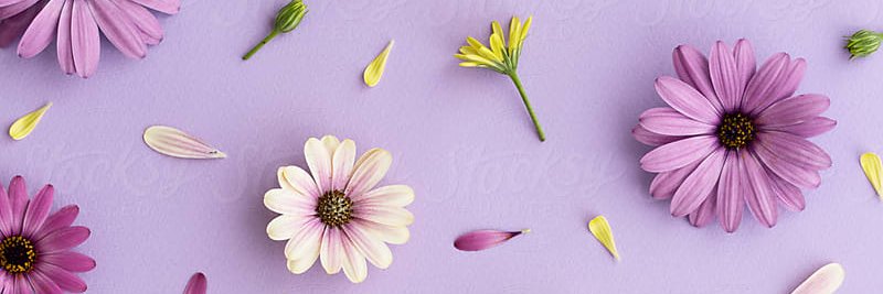 diramaleindra's profile banner image