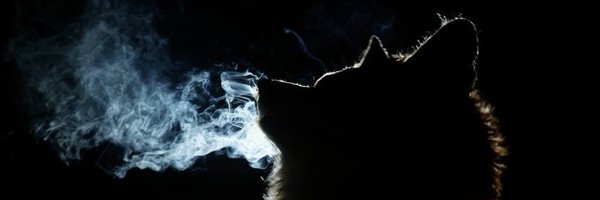 nidor_fortuner Profile Banner