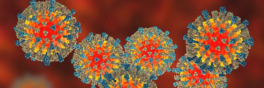 measles_the's profile banner image