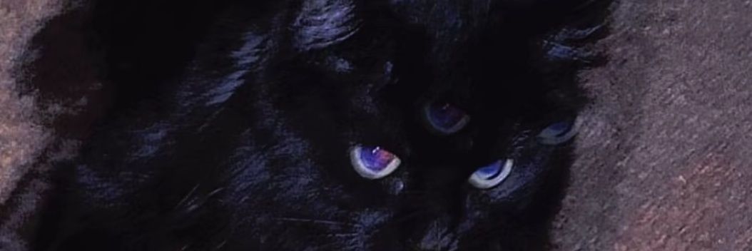 riLxiH's profile banner image