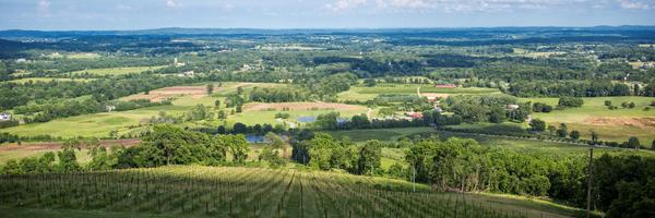 VisitLoudoun Profile Banner