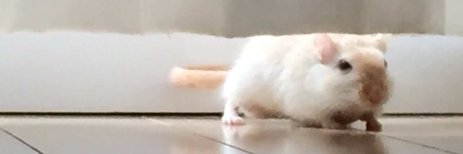 ユーゴ's banner