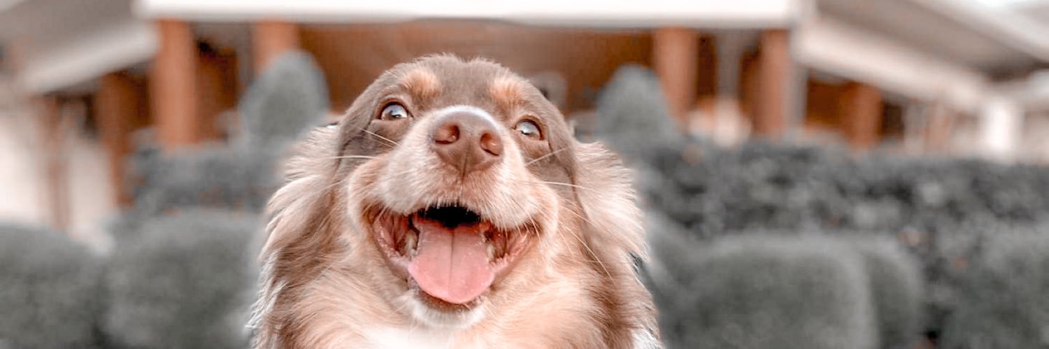ElisssaSimpson's profile banner image