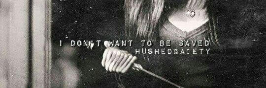 HushedGaiety's profile banner image