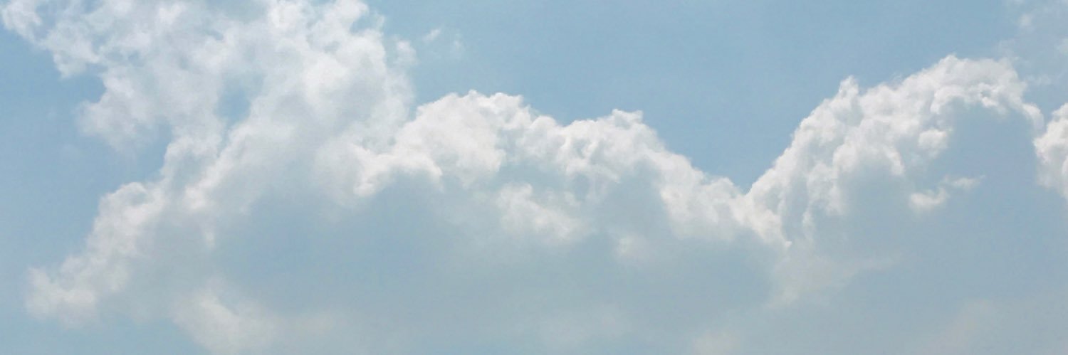just wawa banner