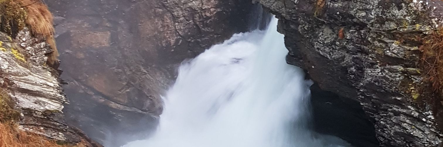 Lejon87's profile banner image
