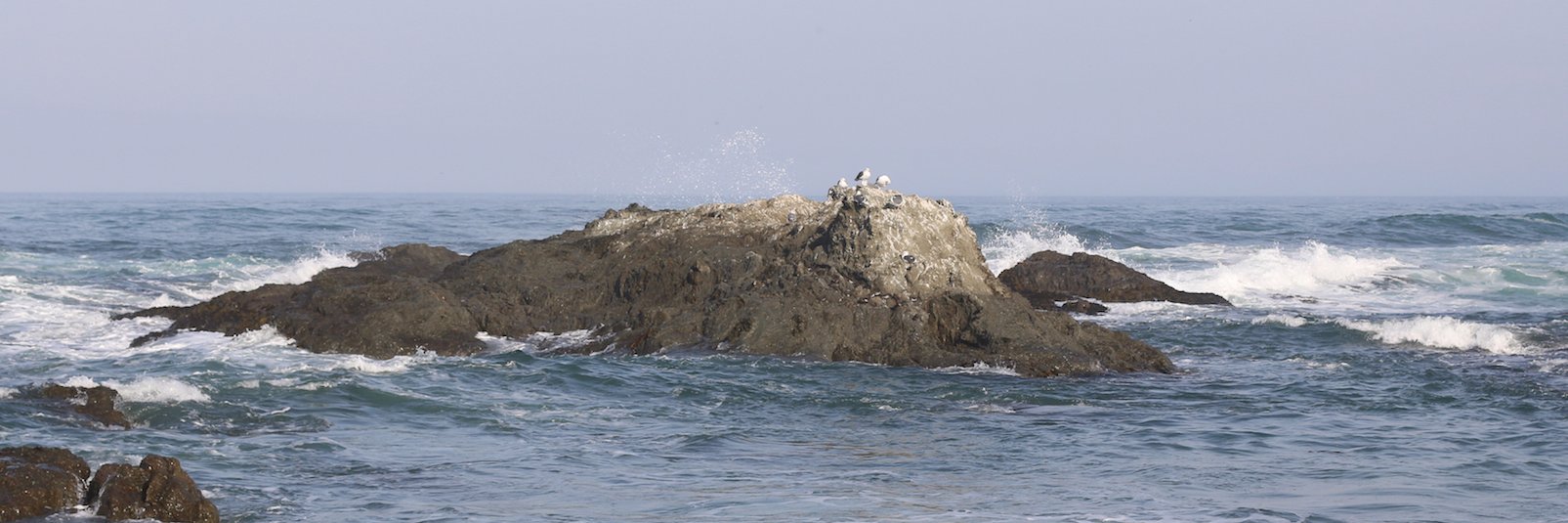 Felipe Knorr Kuhn banner