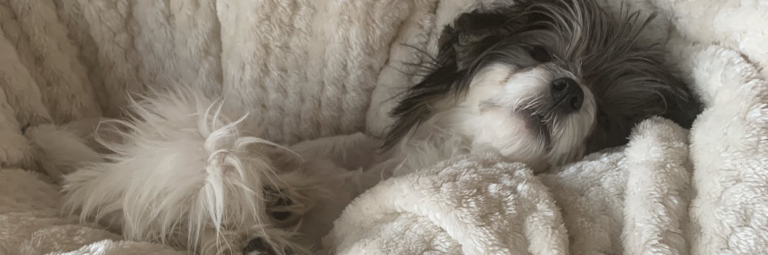 Julieta Lacey banner